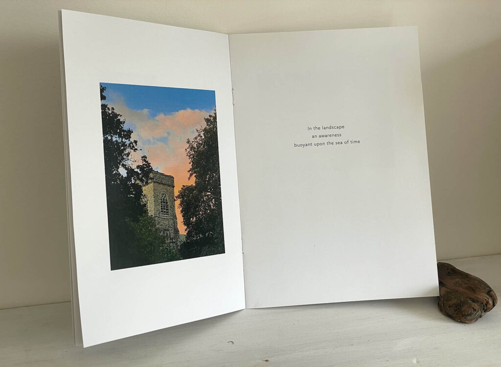 Deptford herb garden street mural artist book
