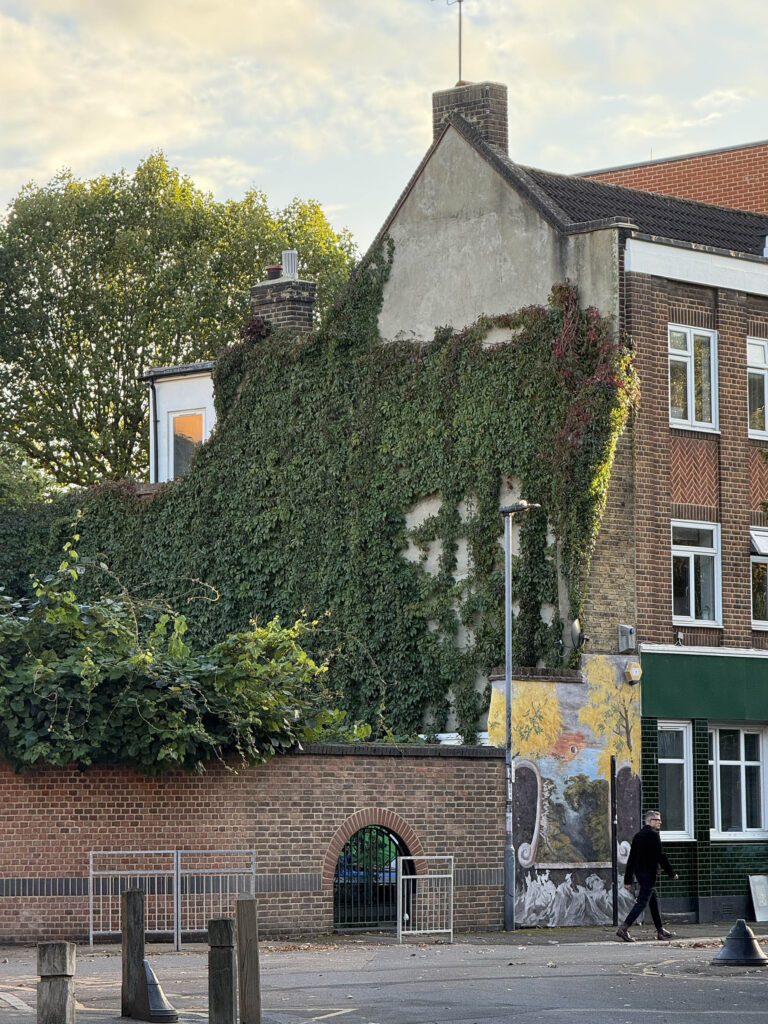 Deptford Street mural at the McMillan Educational Herb Garden created by Chung Yu-Ting (Tingchzy)