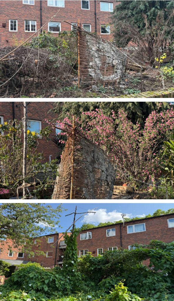 creekers, a living installation through the seasons from winter, spring to summer